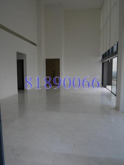 The Trizon (D10), Condominium #118274802